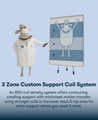 Perfect Sleeper Osiria Rose 13" Plush Tight Top Mattress Set, Queen