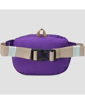 Destination 1L Hip Pack Lumbar Packs