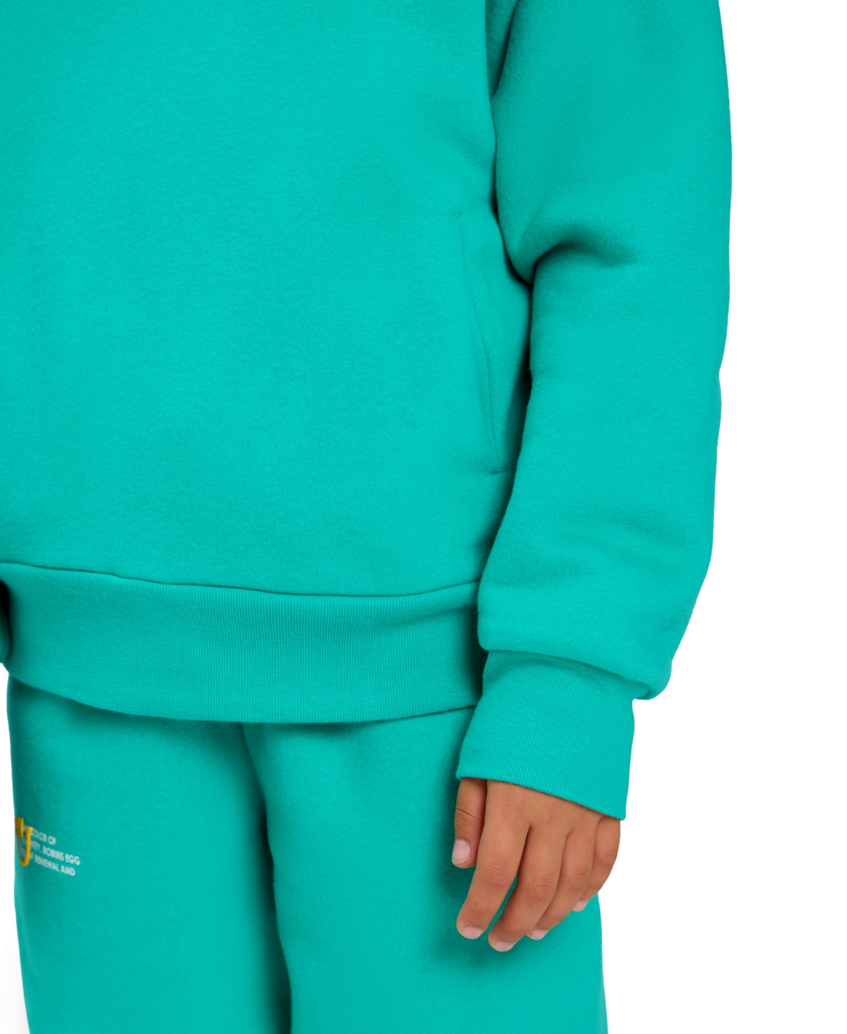 Color Lab Unisex 2t-6x Pull-on Printed Long Sleeve Hoodie In Green