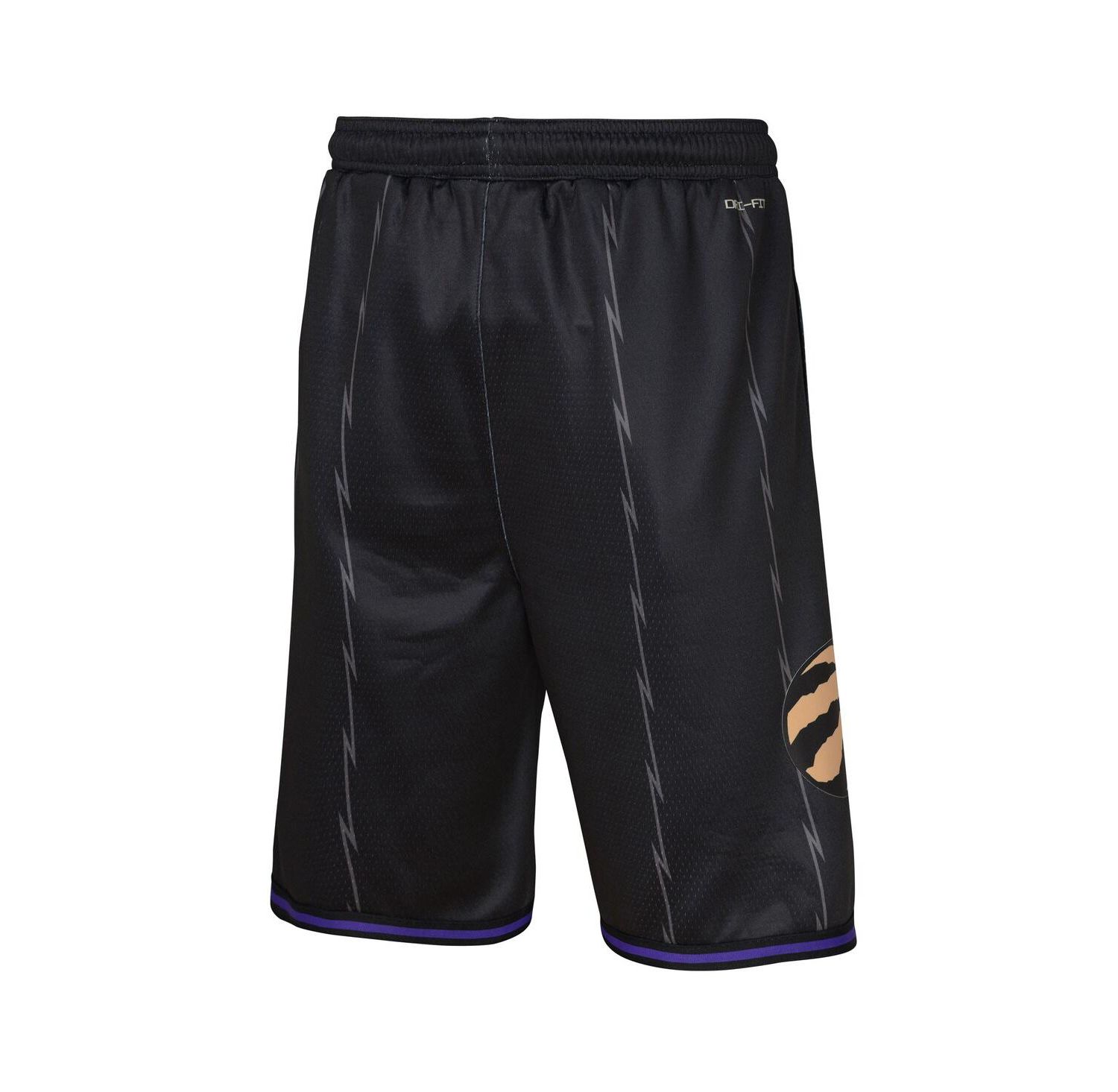 Big Boys and Girls Black Toronto Raptors 2024/25 City Edition Swingman Performance Shorts