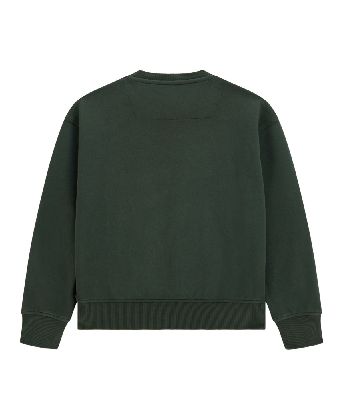 Guess Boys 8-18 Long Sleeves Crewneck Sweatshirt In Green