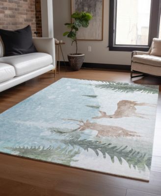 Holiday Washable Indoor/Outdoor ACN1821 5'x7'6" Area Rug
