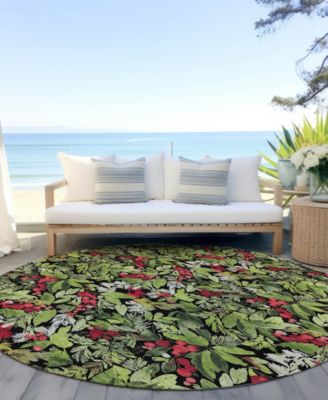 Holiday Washable Indoor/Outdoor ACN1816 8'x8' Round Area Rug