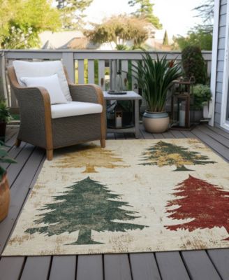 Holiday Washable Indoor/Outdoor ACN1811 8'x10' Area Rug