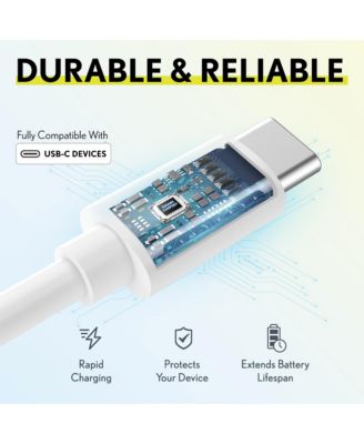 10ft Certified Type C to C Cable