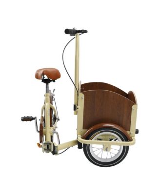 Tricycle for Ladies and Teens with Oversized Front Basket for Pets and Picnic Gear