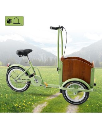 Tricycle for Ladies and Teens with Oversized Front Basket for Pets and Picnic Gear