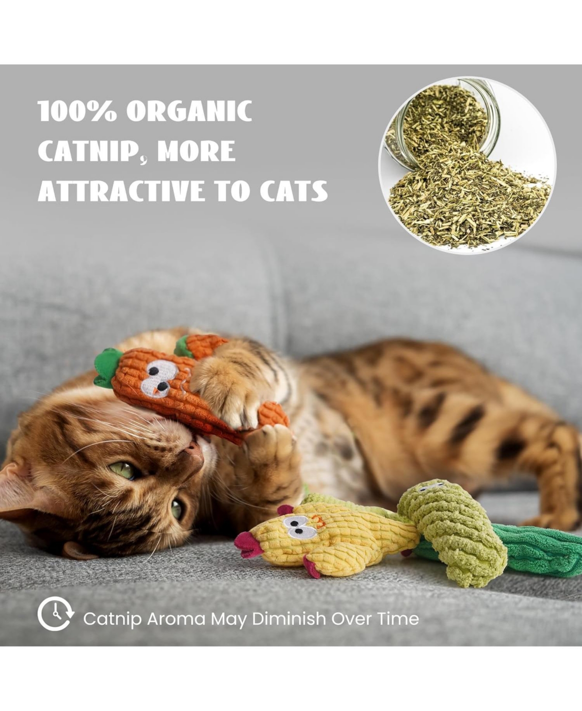 Pawsible 5 Pack Cactus Cat Toy Set, 100% Premium Cat Herb Filling, Natural Stimulation for Cats, Durable for Teething, Perfect Kitten Toy