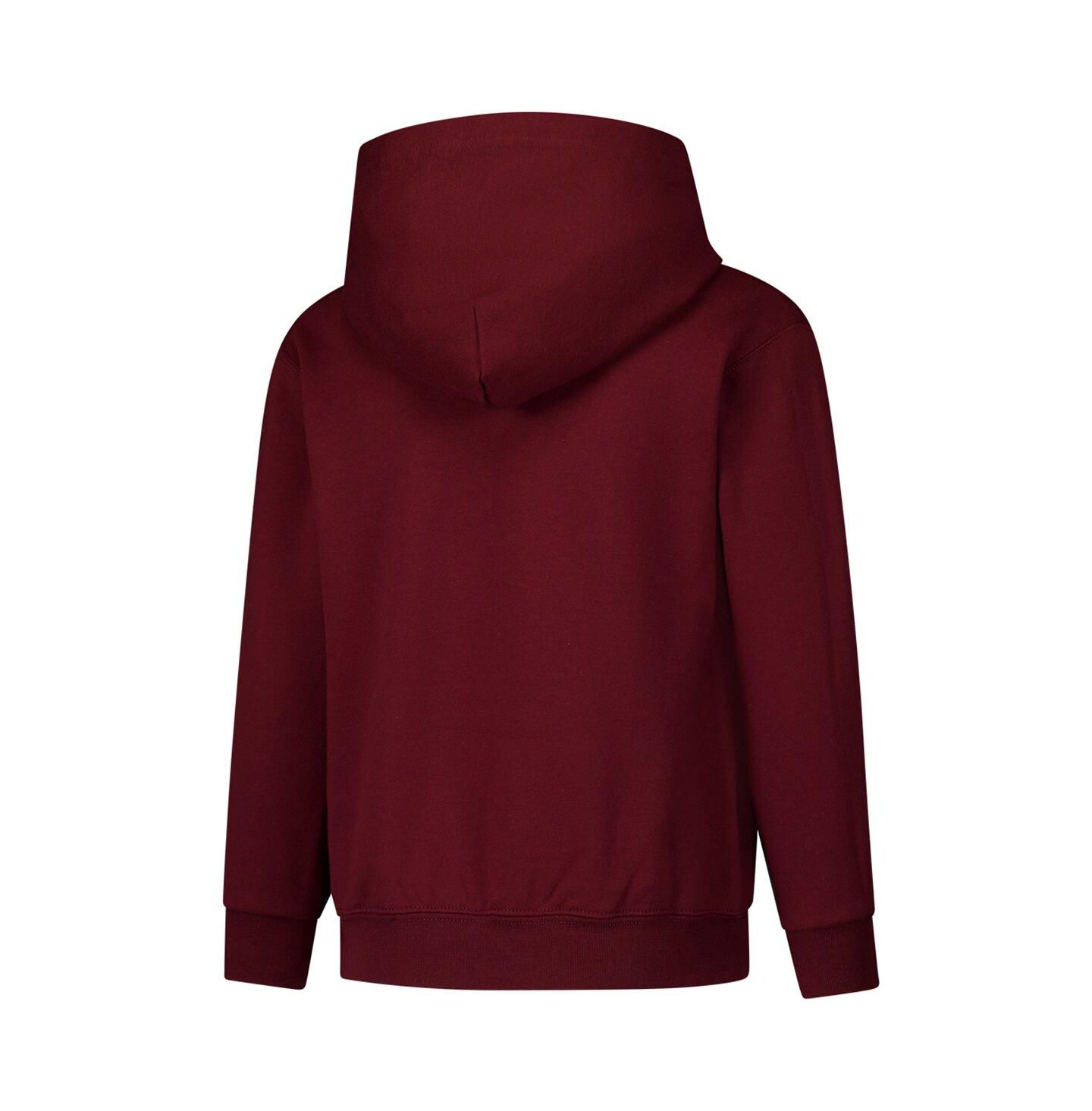 Детское худи Champion Maroon Texas A&M Aggies Campus Pullover — фото 3