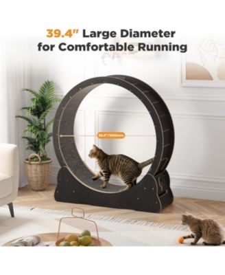 43.3'' Cat Wheel for Indoor Cats