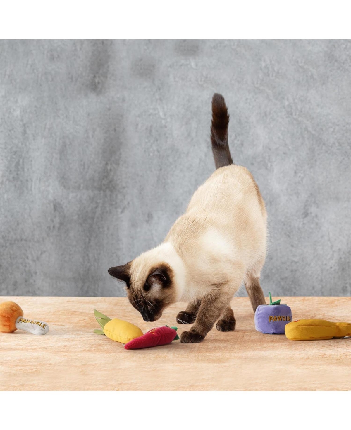 Pawsible 5 Pack Foodie Cat Toy Set, 100% Premium Cat Herb Filling, Natural Stimulation for Cats, Durable for Teething, Perfect Kitten Toy