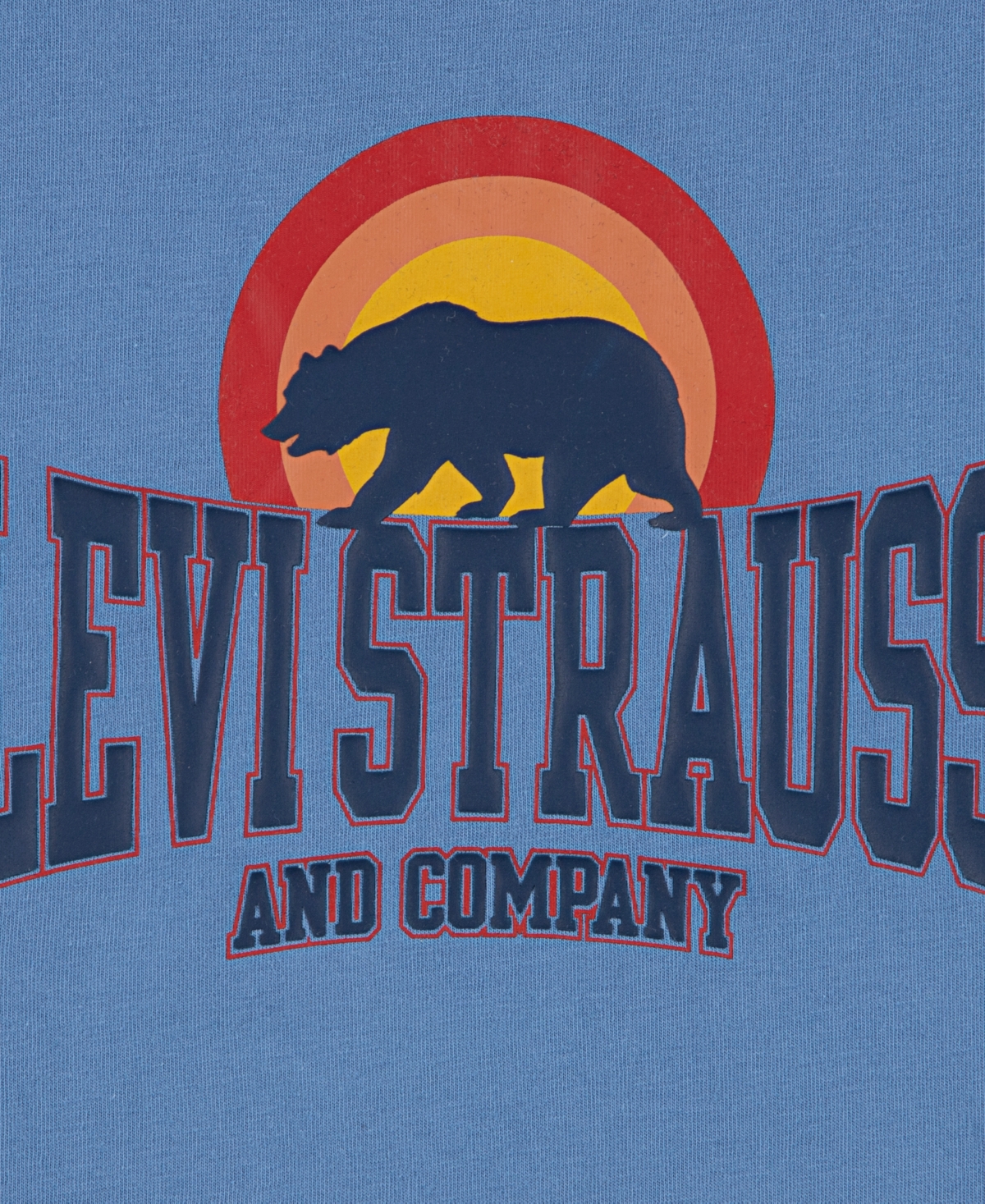Levi's Boys 4-7 Bear With Me Graphic Print Short Sleeve T-shirt In Blue