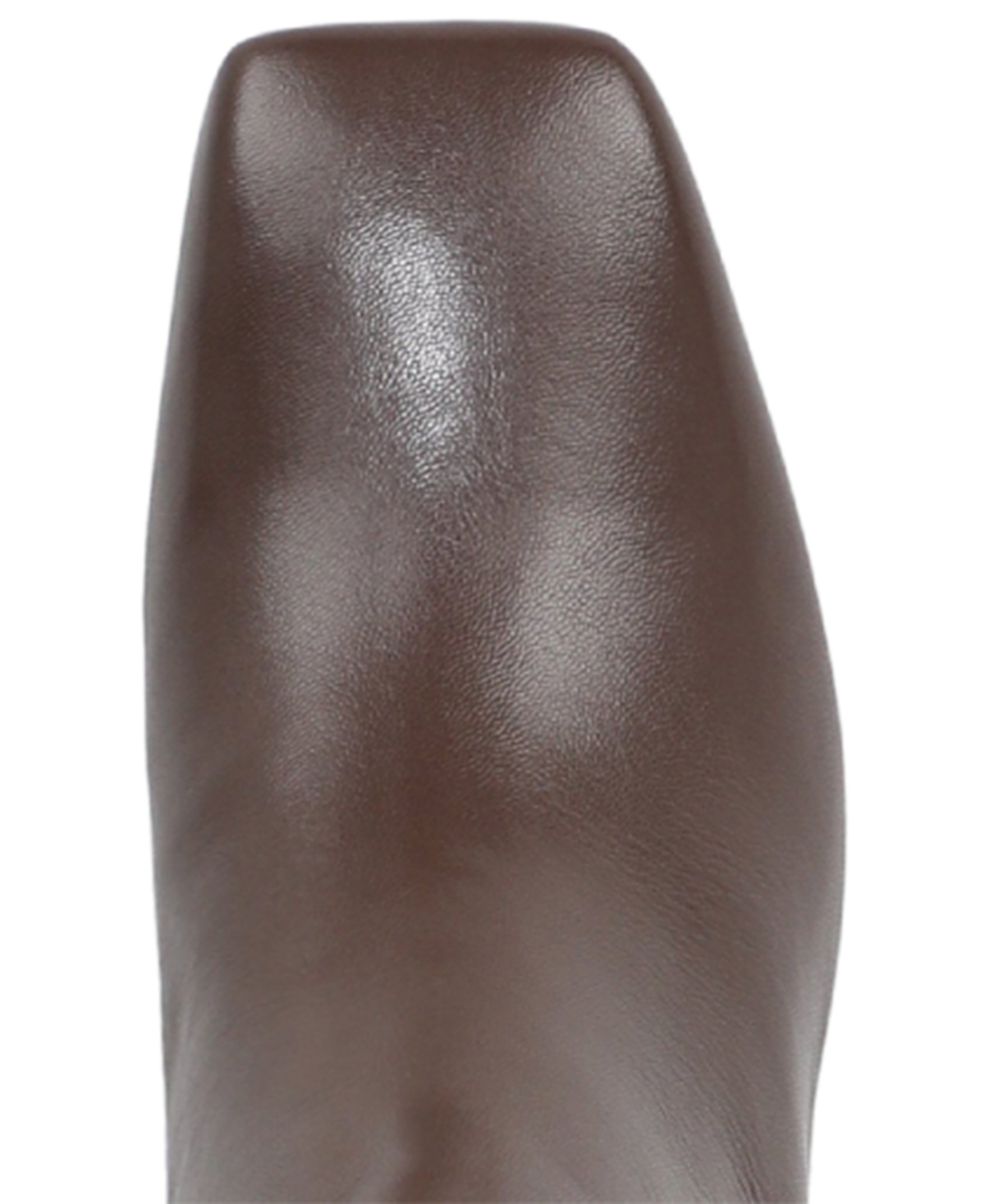 Naturalizer Women's Candela Wide Calf Tall Dress Boots In Brown