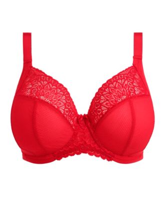 Tiernie Plus Size Plunge Bra