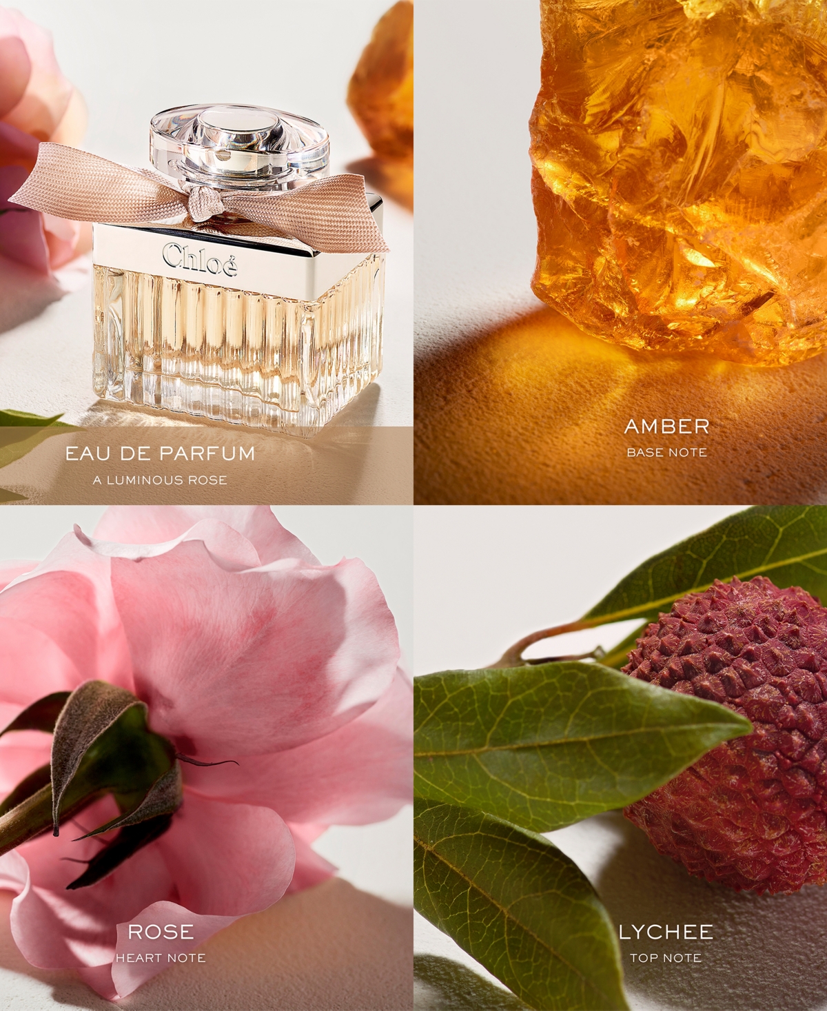 Chloé Signature Fragrance Minis Set In Transparent