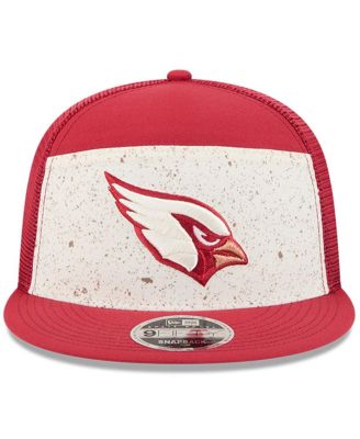 Men's Natural/Cardinal Arizona Cardinals 2025 Rivalries Collection Team Split Panel 9FIFTY Snapback Hat