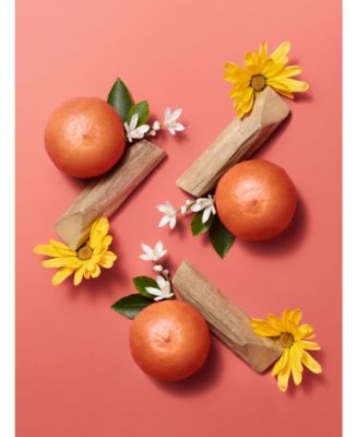 Herm&egrave;sistible Infused Lip Care Oil, 0.28 oz.