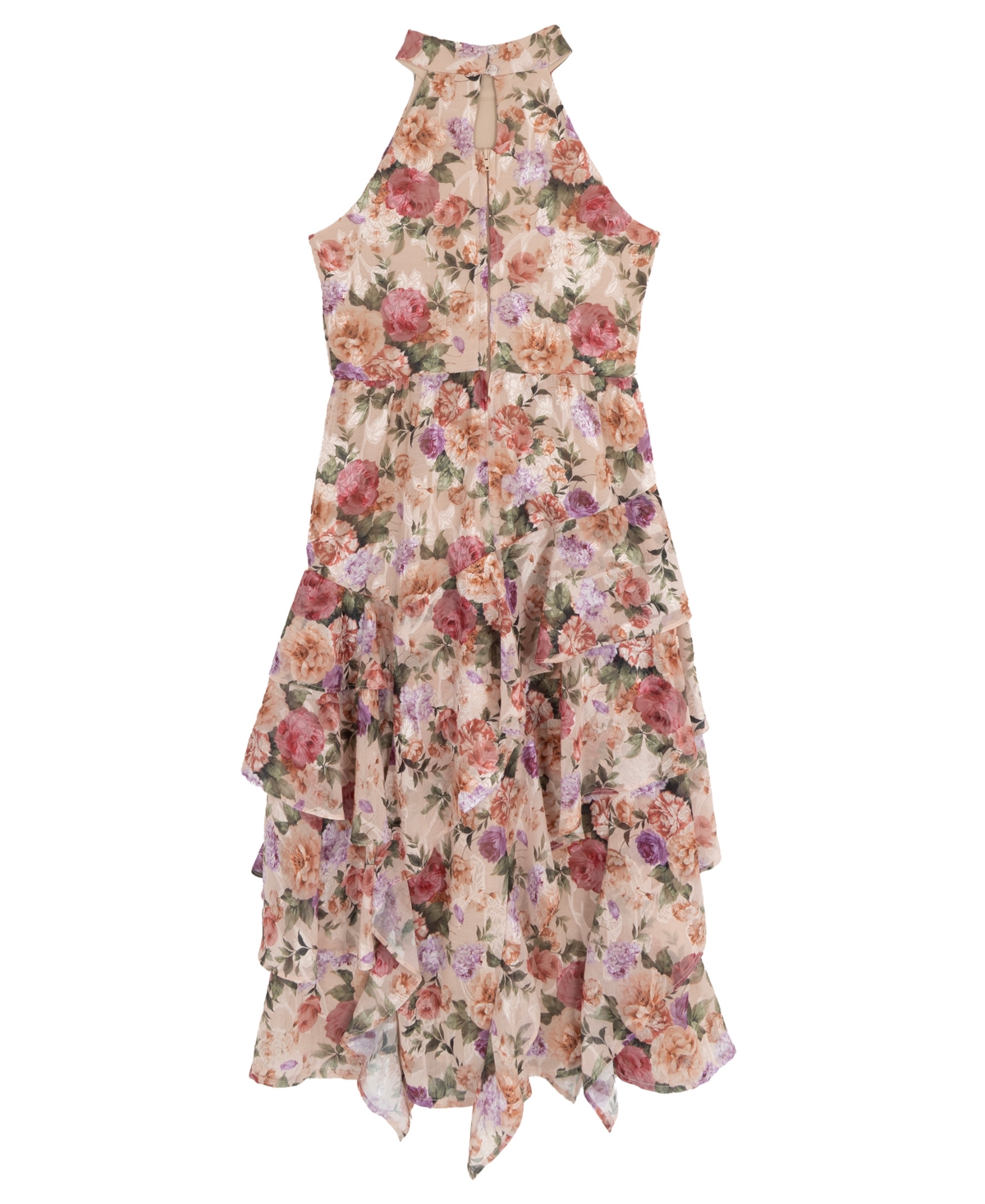 Rare Editions Girls 7-16 Halter Neck Printed Burnout Chiffon Maxi Dress