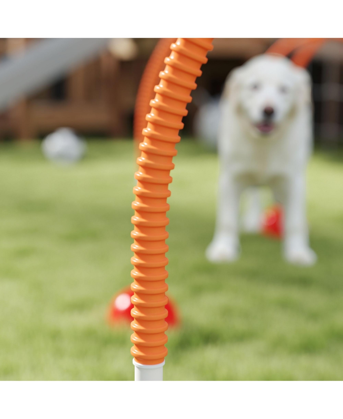 PawHut 4 Piece Dog Agility Equipment w/ 4 Adjustable Width Doors, Carry Bag