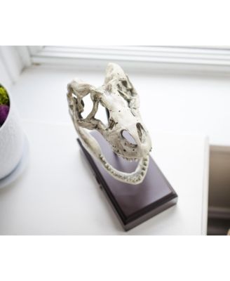 Jurassic World 9x8 Inch Tyrannosaurus Rex Skull Resin Replica