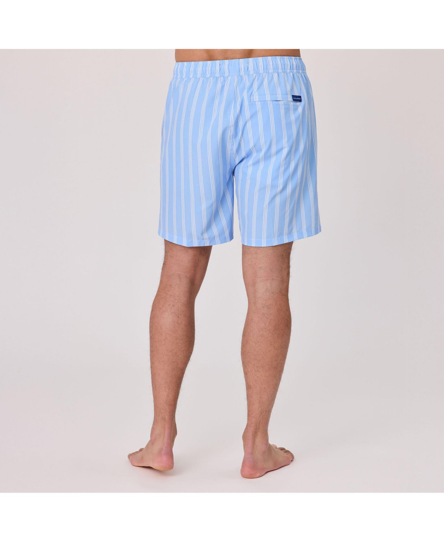 Men's Ocean Drive Stripe Swim Short.