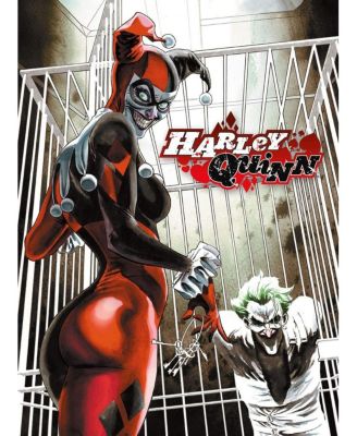 DC Comics Harley Quinn & Joker 500 Piece Jigsaw Puzzle