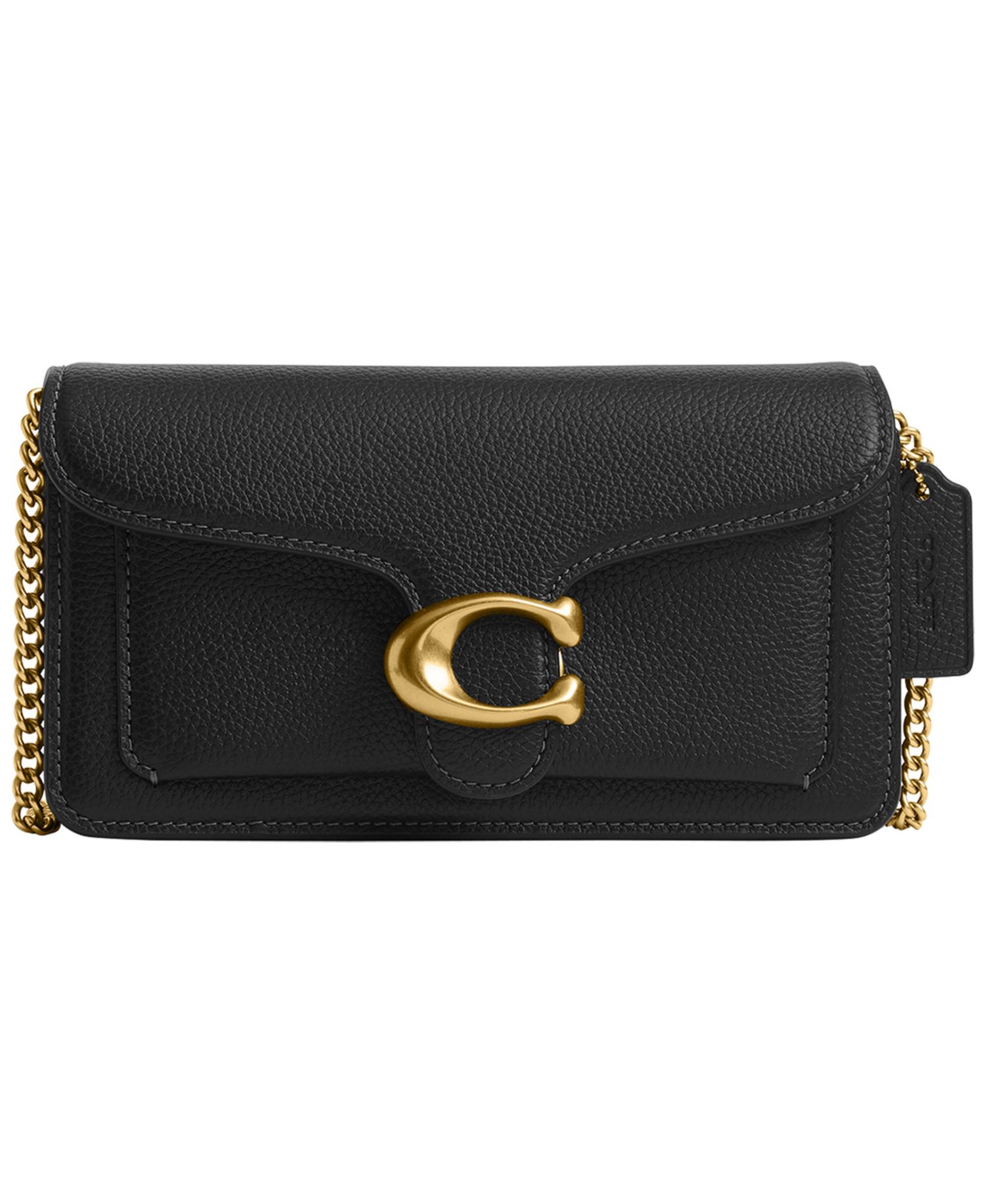 Tabby Mini Pebble Leather Chain Crossbody Bag 19