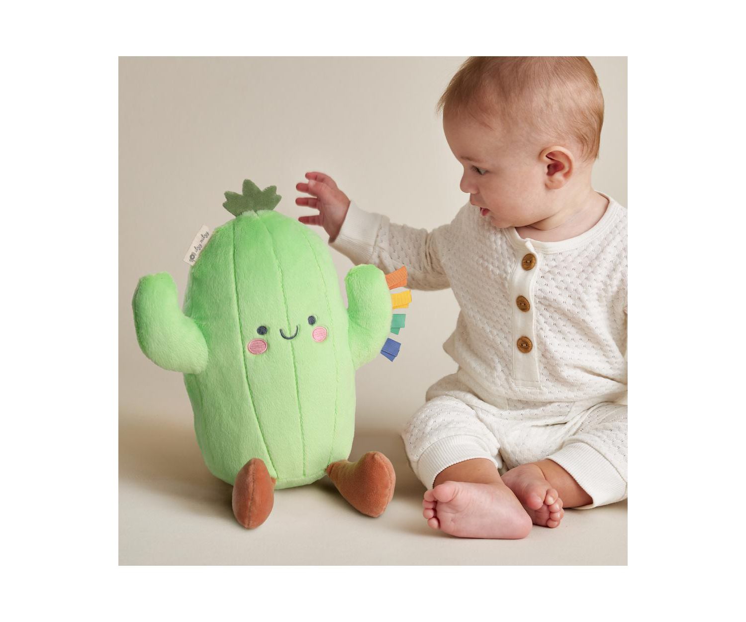 Baby Sweetie Snuggles Cactus
