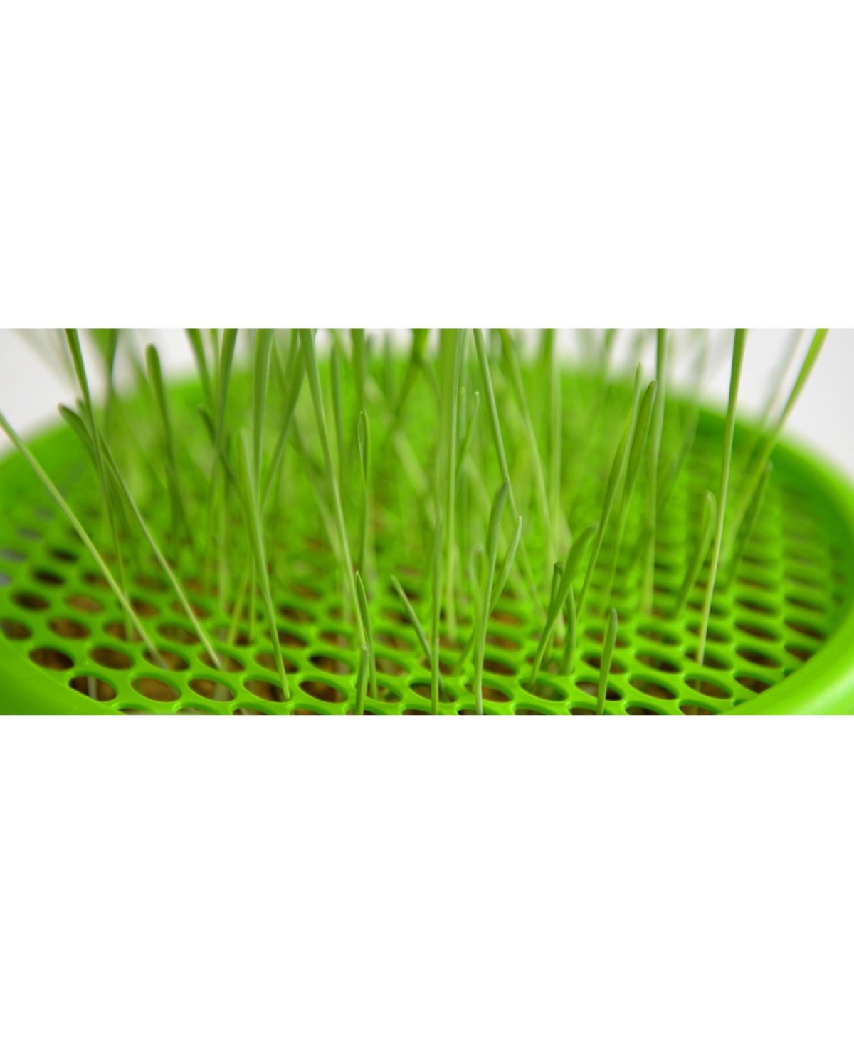 Catit Senses 2.0 Grass Planter, Retail