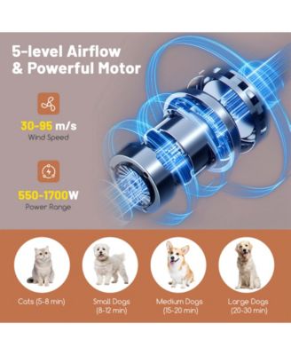 Dog Cat Hair Blower with Negative Ion Function and Adjustable Temperature