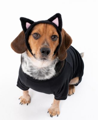 Dog Cotton Solid Pajamas