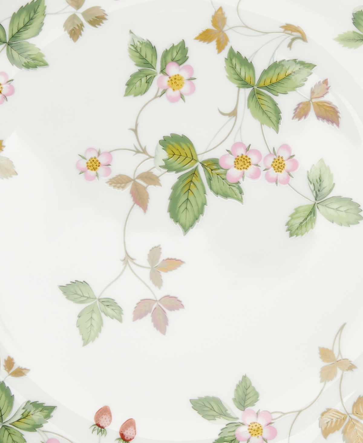 Wild Strawberry 9" Coupe Plate