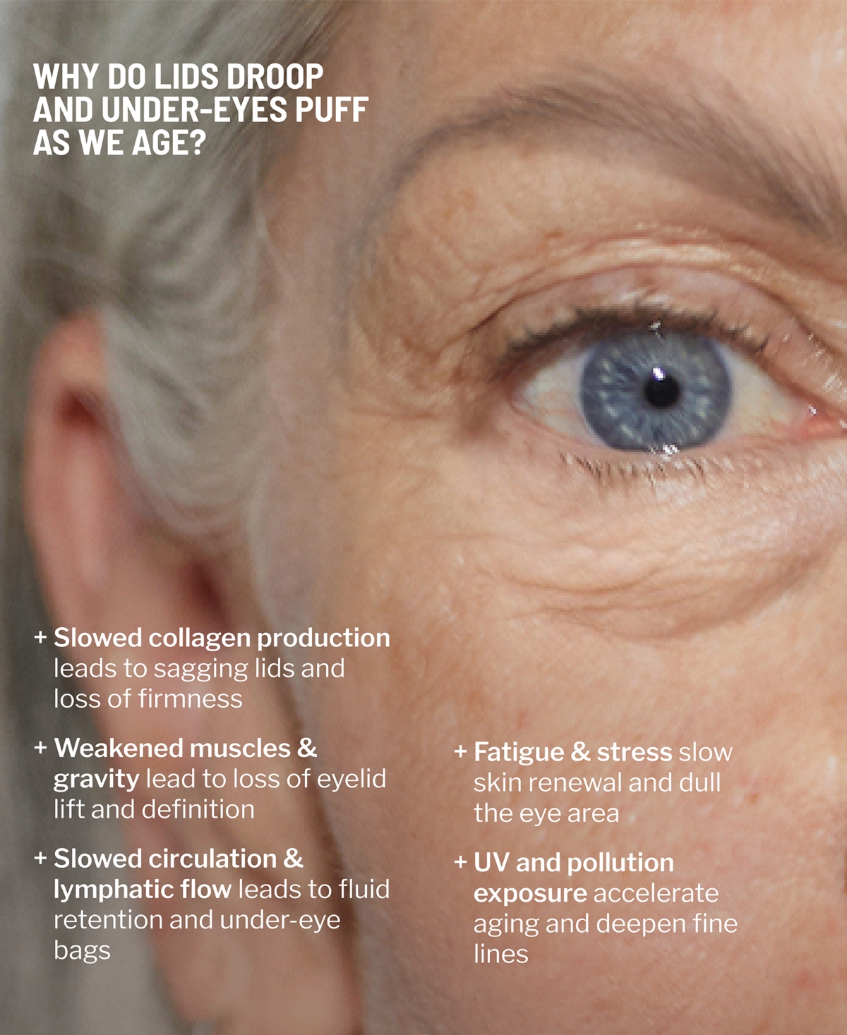 Dr. Brandt 2-pc. Eye Lift And Brightening Duo Set In Transparent