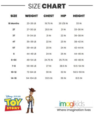 Baby Girls Lion King French Terry Skater Dress to