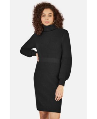Women's Roll Neck Knitted Dress