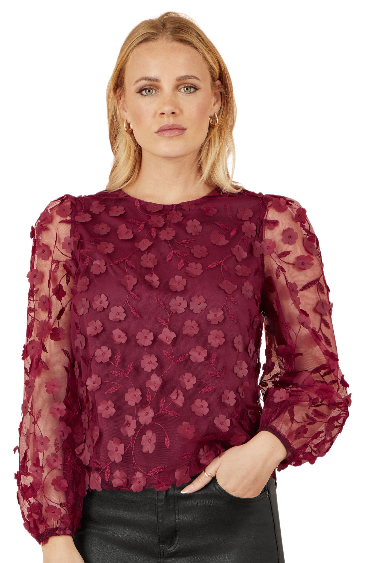 Women's Sheer Sleeve Applique Top