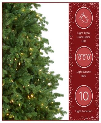 7.5' Feel Real Princeton Fraser Fir Tree with 800 Dual Color LED Lights & PowerConnect™