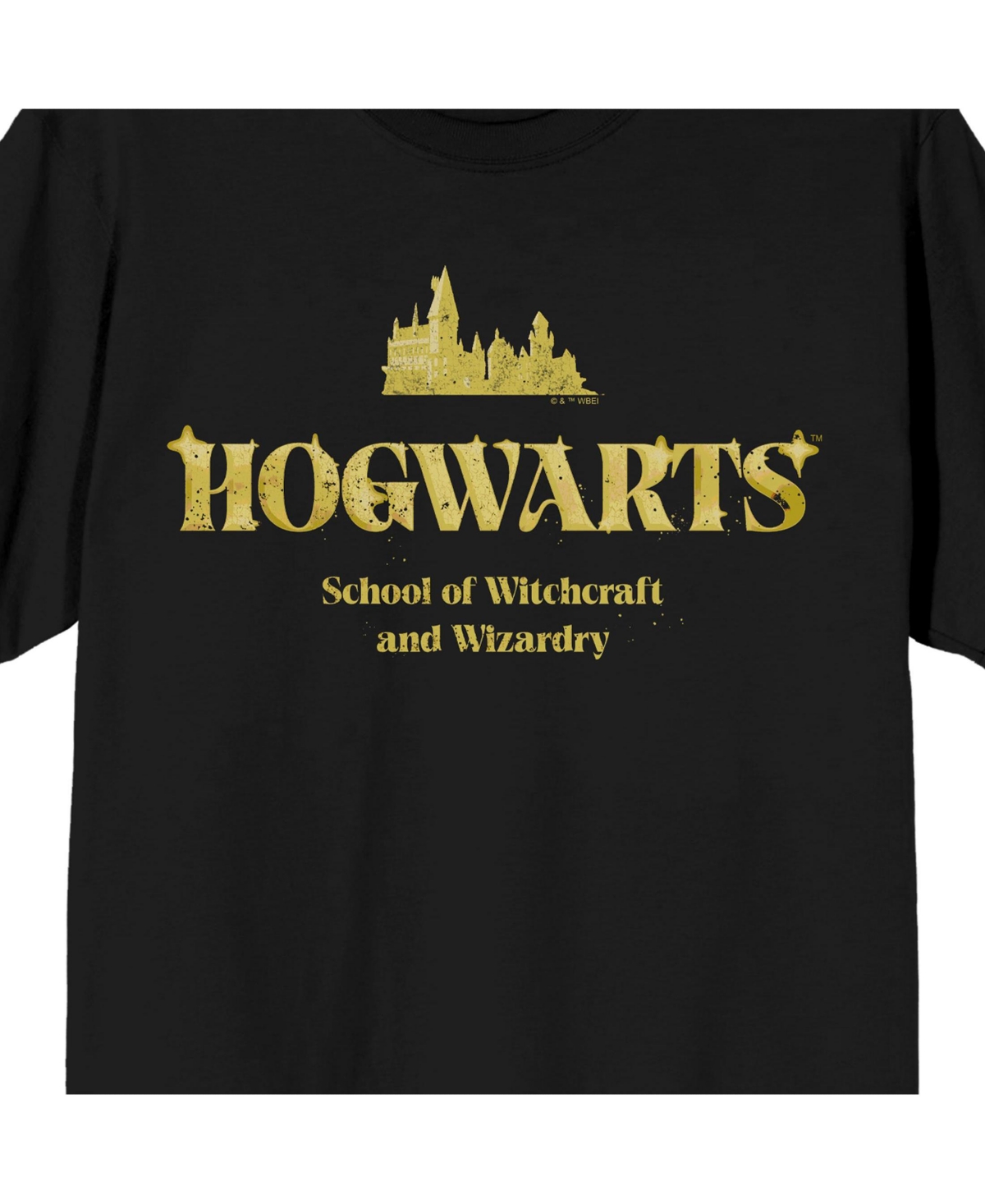 Harry Potter Men's Hogwarts Title Destination on Black Short Sleeve Adult T-Shirt-3XL