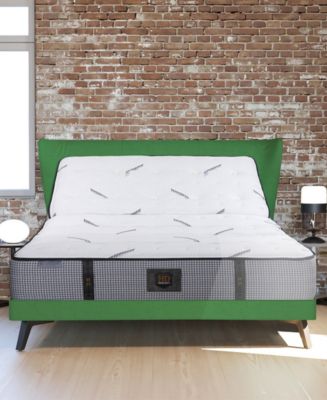 CLOSEOUT! Paramount HD Encore 12