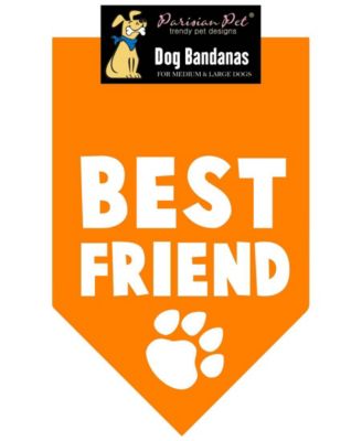 Parisian Pet Best Friend Bandana