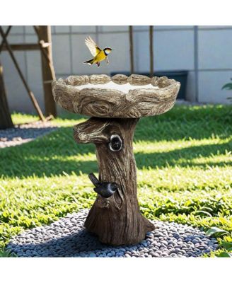 23 Inch High Wood-Look Concrete Bird Bath with Decorative Faux Bird – Birdbath Rustic & Long-Lasting Design, Enhances Garden