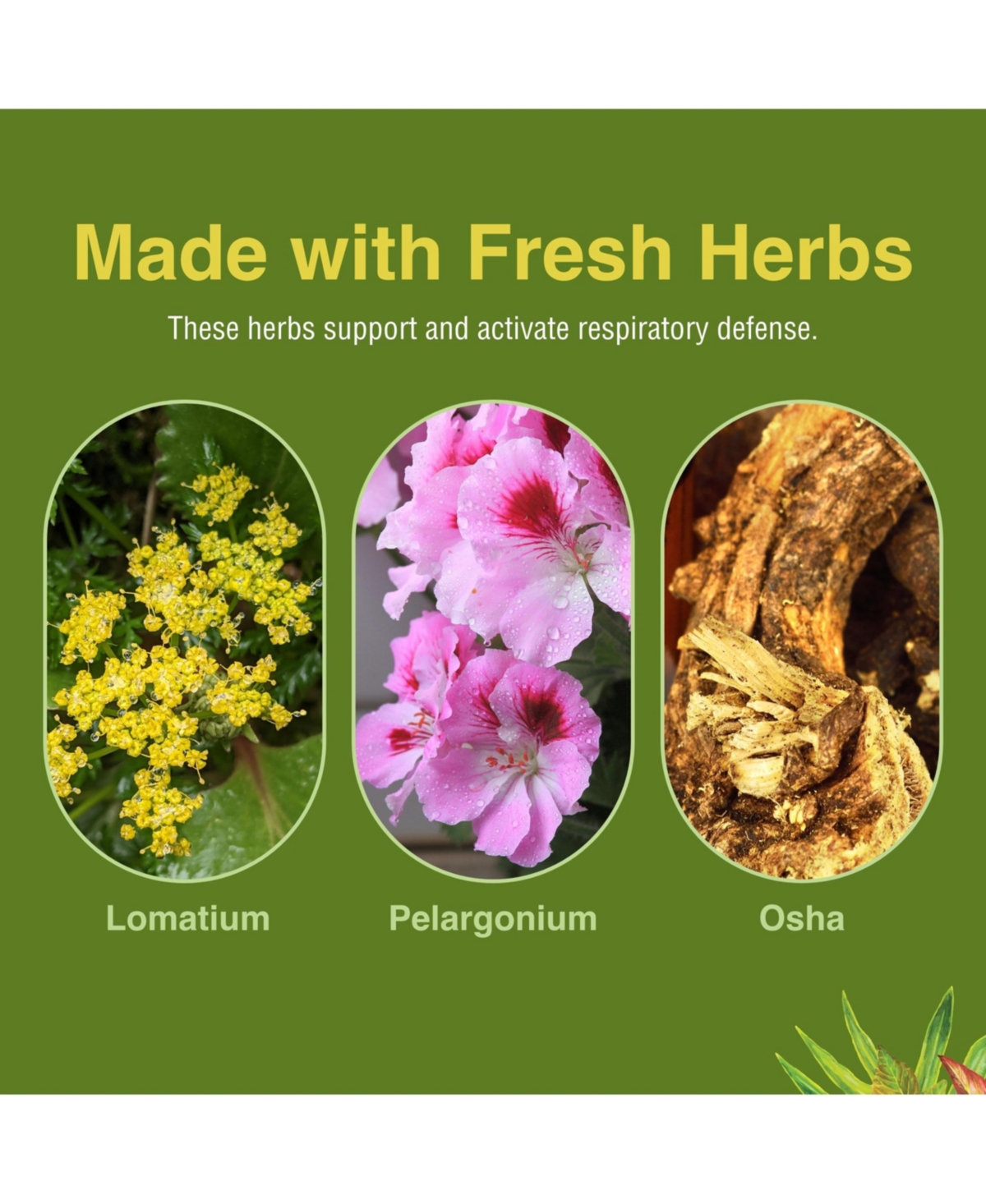 Trace Minerals Loviral 60 Ct Softgels