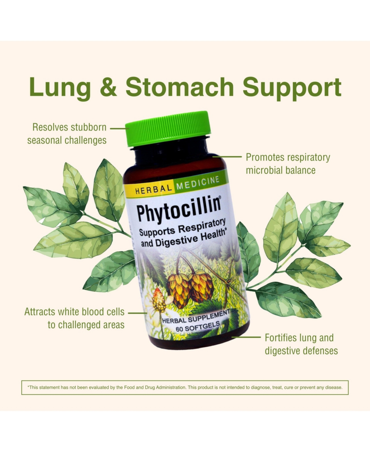 Trace Minerals Phytocillin: -Count Bottle of Softgels