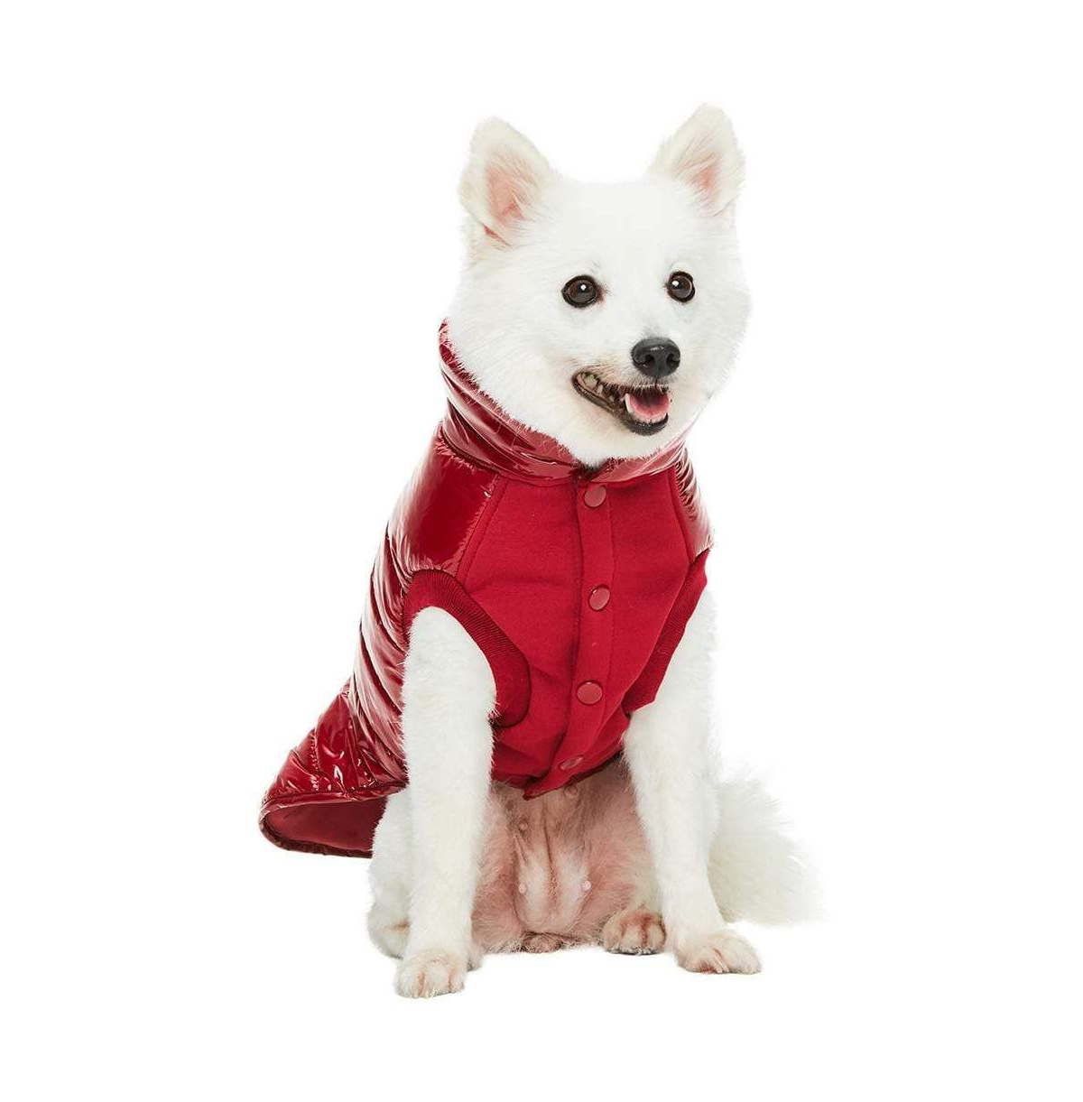 Blueberry Pet GlossPaws Lightweight Quilted Dog Puffer Jacket