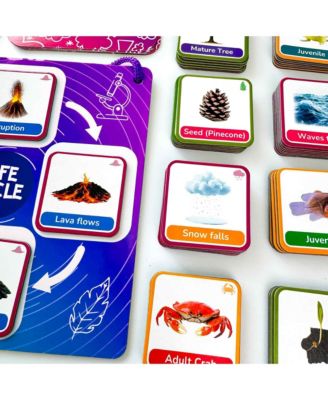 Life CycleToys for Kids - 30 Flashcards Toddler Science Kit Ages 2-4 - 120 Magnetic Flash Cards