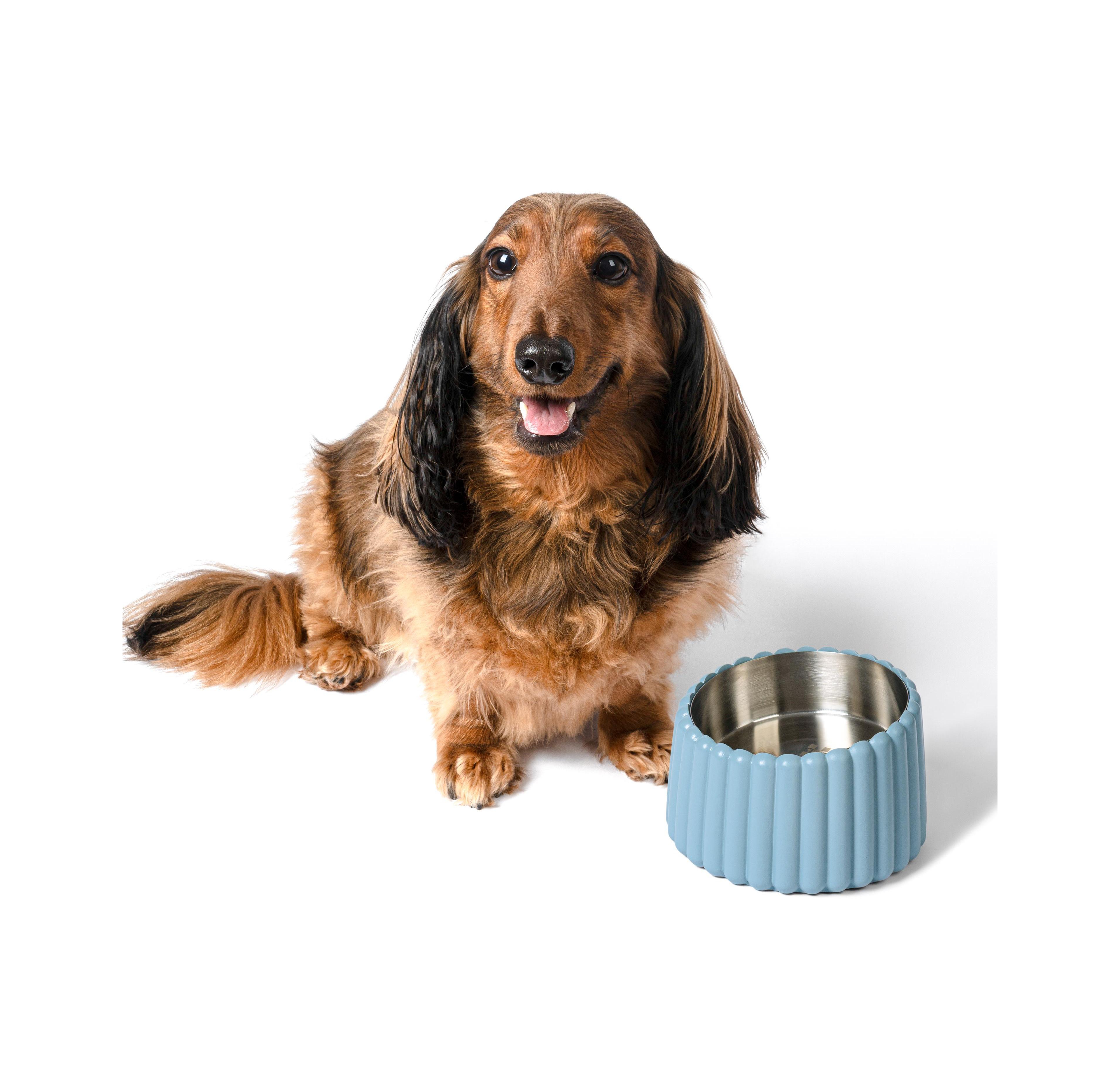 The Licker Store Ripple Ridge Small/Medium Slanted Concrete and Stainless Steel Bowl 16oz (2 Cups) Pet Feeder