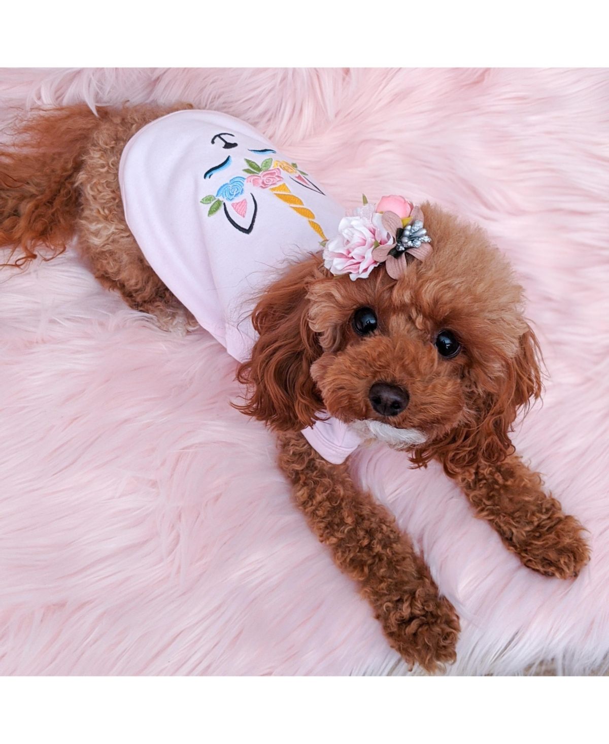 Parisian Pet Unicorn