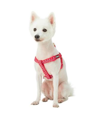Velvety Polka Dot Dog Step-in Harness with with Bow