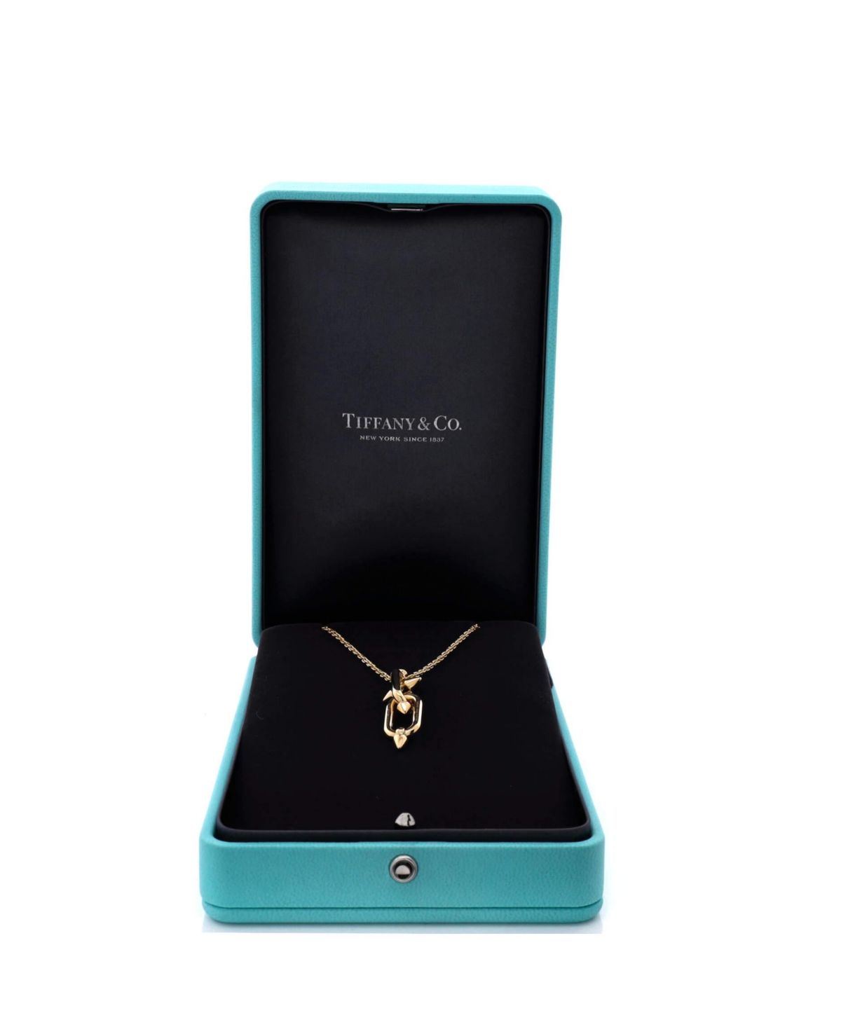 Pre-Owned Tiffany & Co x Pharrell Williams Titan Pendant Necklace