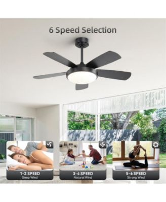 42-inch Modern Black 5-Blade Ceiling Fan with Light and Remote Control